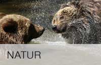 Natur
